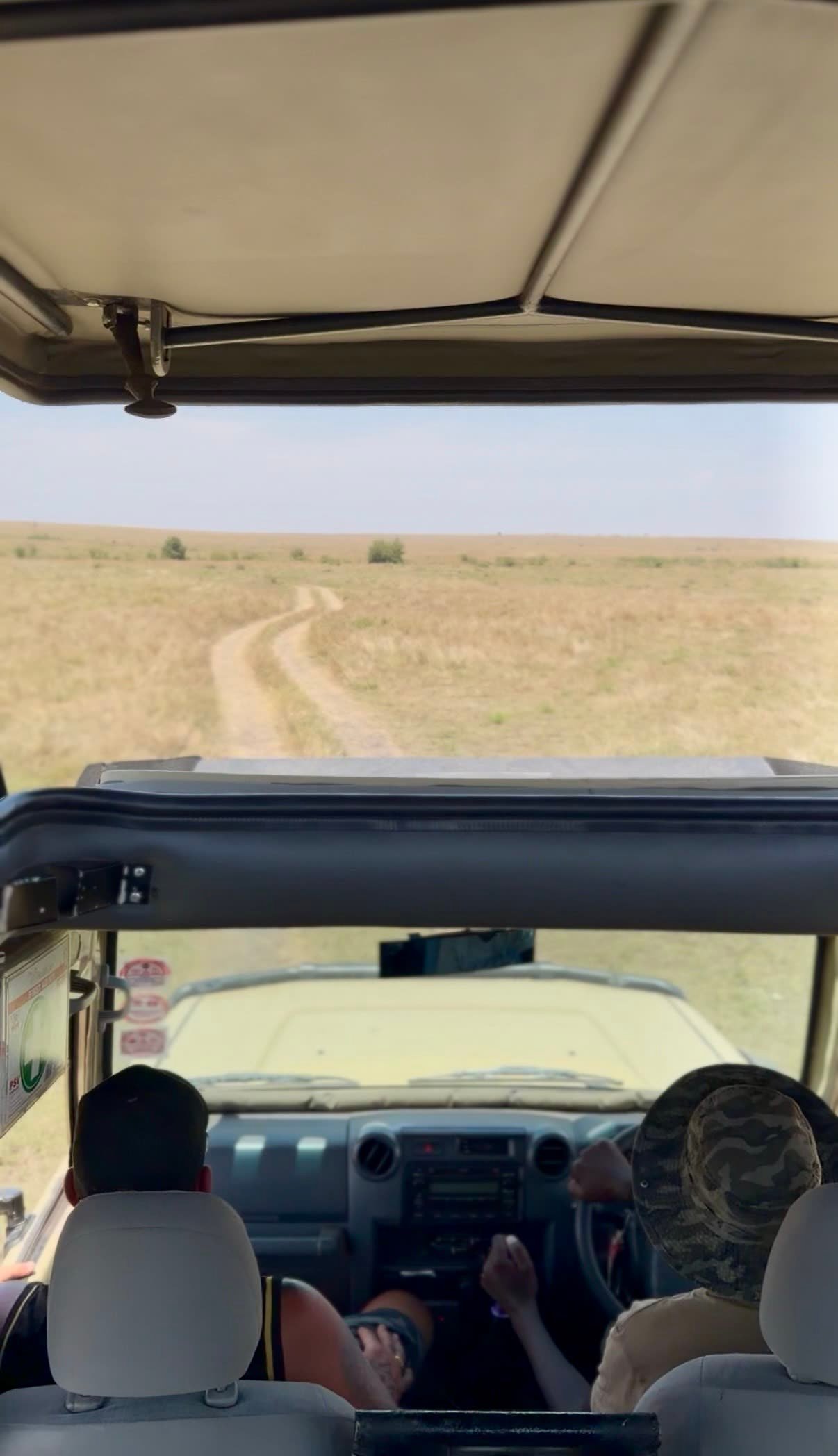 Vista desde el vehículo de safari