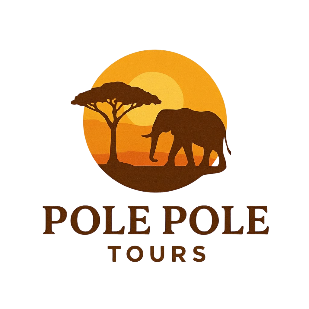 Pole Pole Tours